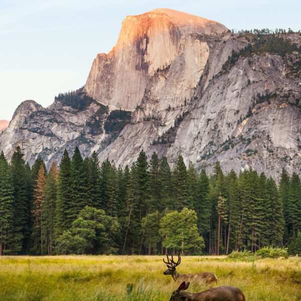 half dome hike yosemite national park